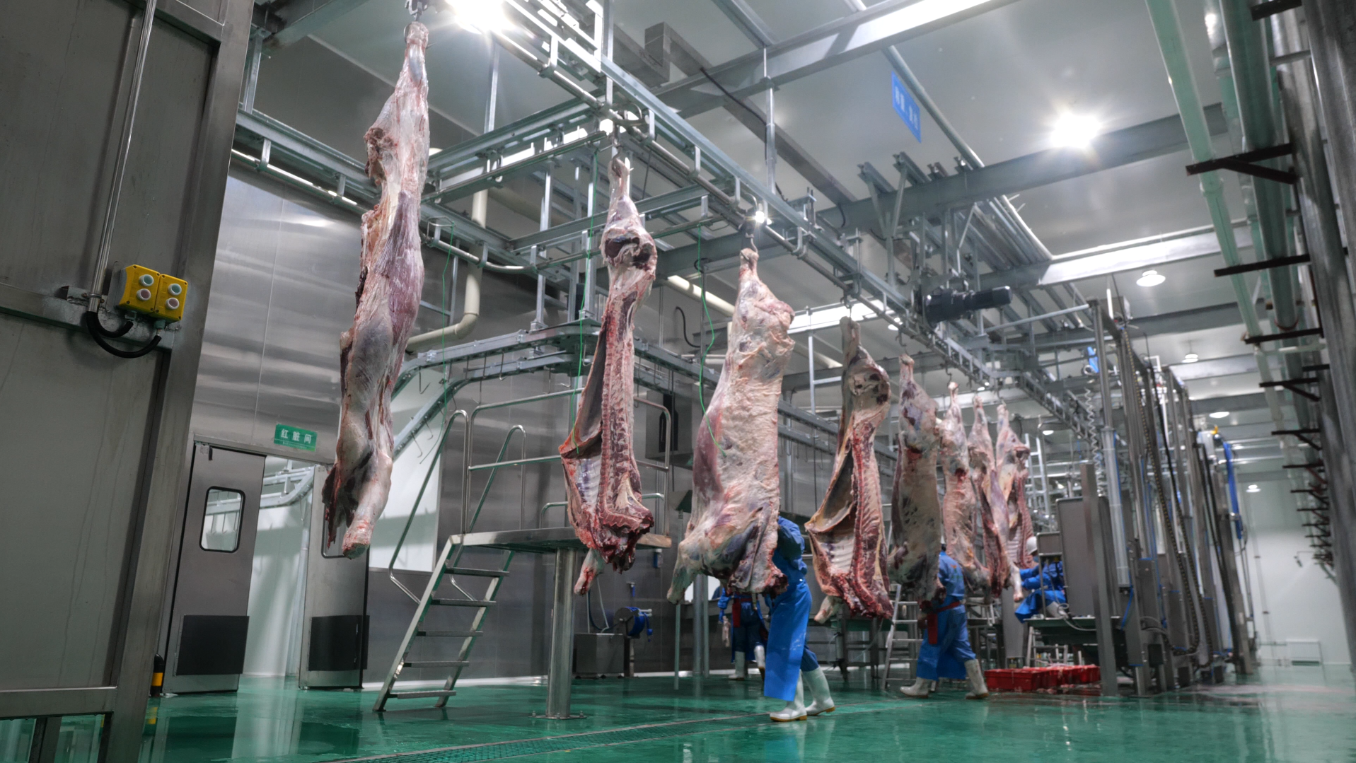 Slaughterhouse Wastewater application illustration